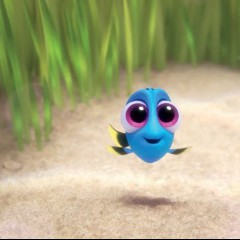 Dory
