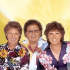 Die Flippers