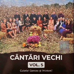 Gabriel Gorcea si Prietenii