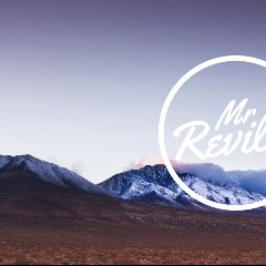 Y.V.E. 48, Parula