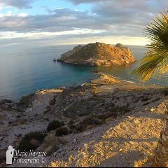 Aguilas