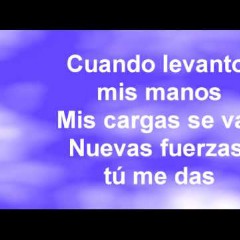 LEVANTO MIS MANOS