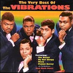 The Vibrations