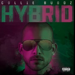 Collie Buddz