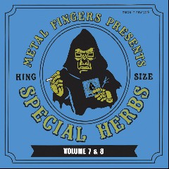 Metal Fingers