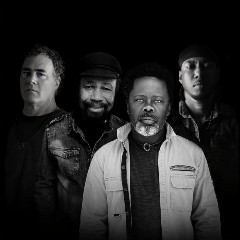Dukes of Roots