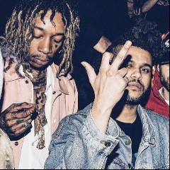 Ty Dolla $ign, The Weeknd, Wiz Khalifa, D...