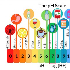 pH