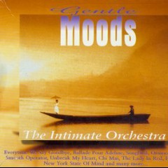 The Intimate Orchestra