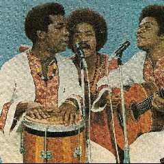 Os Tincoãs