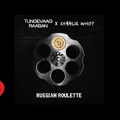 Tungevaag & Raaban feat. Charlie Who?