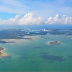 Ocean Sounds