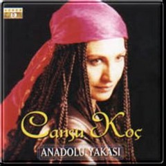 Cansu Koç