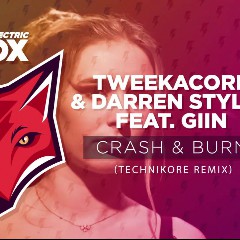 Tweekacore & Darren Styles feat. Giin