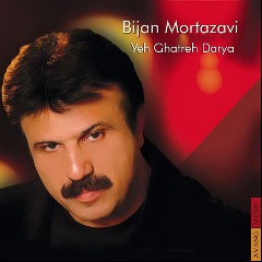 Bijan Mortazavi
