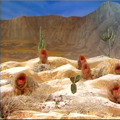 The Muppet Prairie Dogs