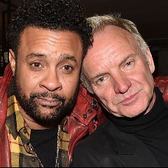 Shaggy feat. Sting