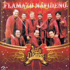 Los Flamers
