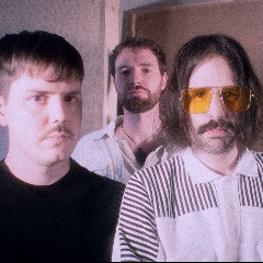 The Yelins