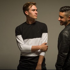 Loud Luxury feat. brando