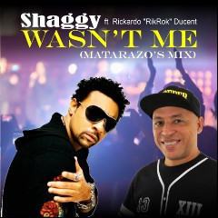 Shaggy feat. Rik Rok