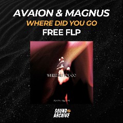 AVAION x MAGNUS