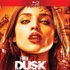 Dusk to Dawn