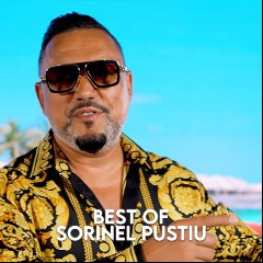 Sorinel Puștiu