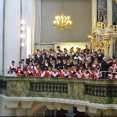 Dresdner Kapellknaben