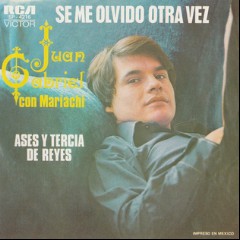 SE ME OLVIDO OTRA VEZ