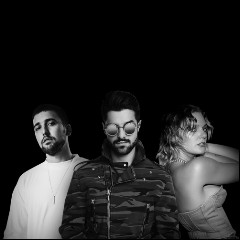Alok & Ilkay Sencan feat. Tove Lo