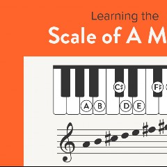 Major Scale