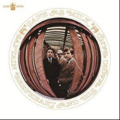 Captain Beefheart & His Magic Band