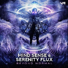 Mind Sense & Serenity Flux