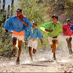 Tarahumara