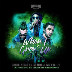 Dimitri Vegas & Like Mike vs. Brennan Heart Tomorrowland Mix