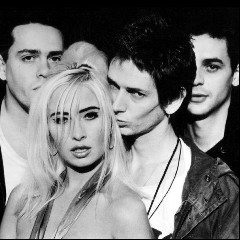 Transvision Vamp