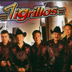 Los Tigrillos