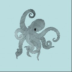 Squiid