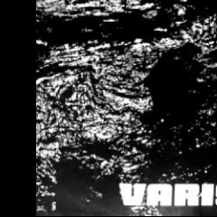 Varis