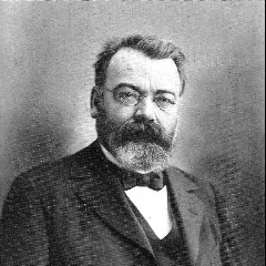 Hans Auer