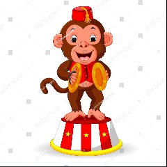 Monkey Circus