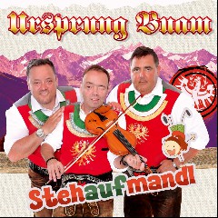 Stub'nmusi Wolfstoaner Buam