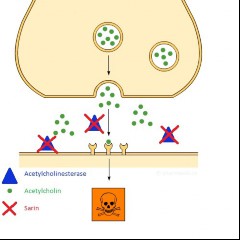 Sarin