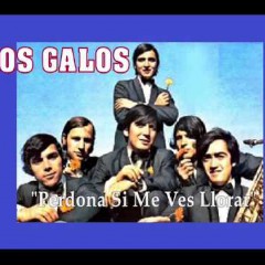 perdoname si me ves llor