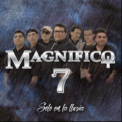Magnifico 7