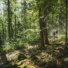 Nature Life