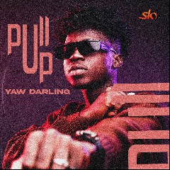 Yaw Darling & Bisa Kdei