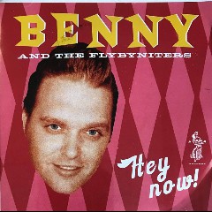 Benny and the Fly by Niters
