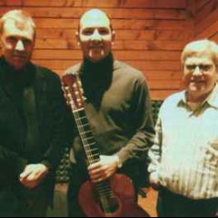 The Nate Najar Trio